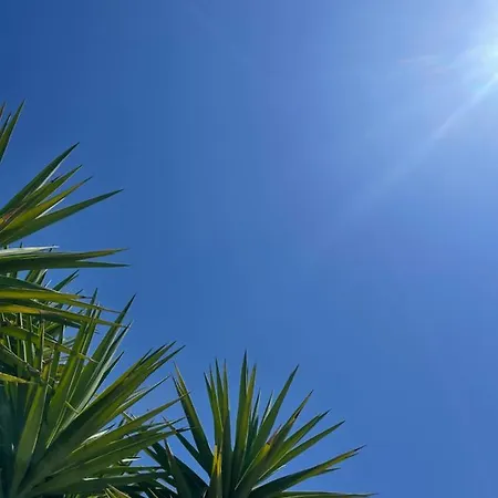 Appart hôtel Mythos Apts Rentit Agios Stefanos Avliotes (Corfu)